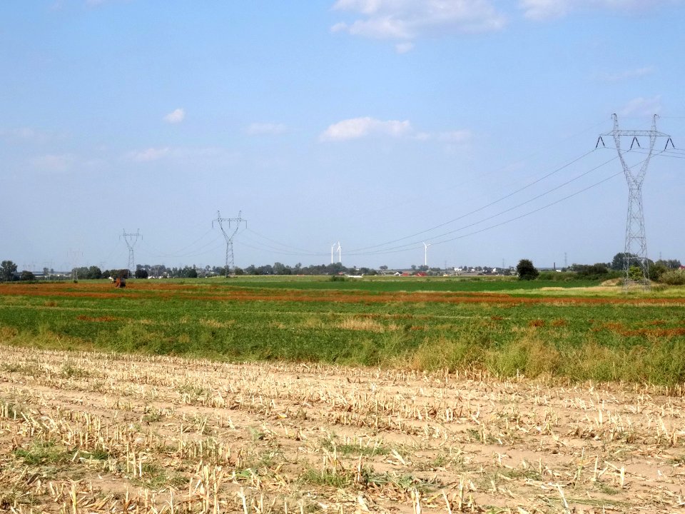 Inowroclaw plain near Zlotniki6