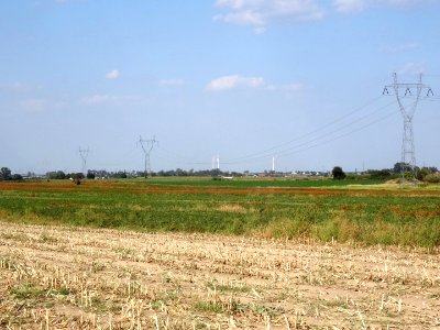 Inowroclaw plain near Zlotniki6