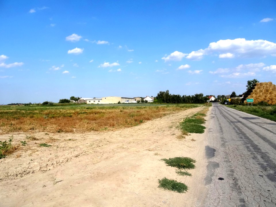 Inowroclaw plain near Zlotniki2