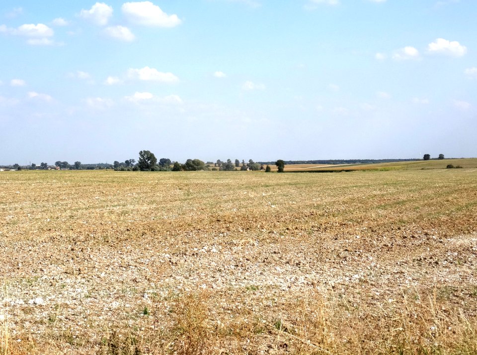 Inowroclaw plain near Mamlicz5