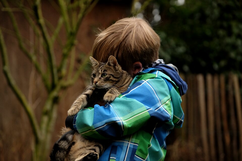 Together snuggle relationship