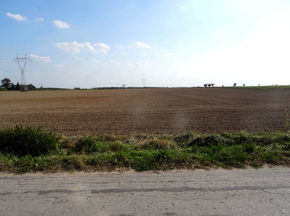 Inowroclaw plain near Zlotniki5