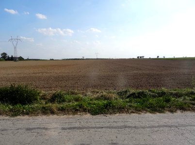 Inowroclaw plain near Zlotniki5