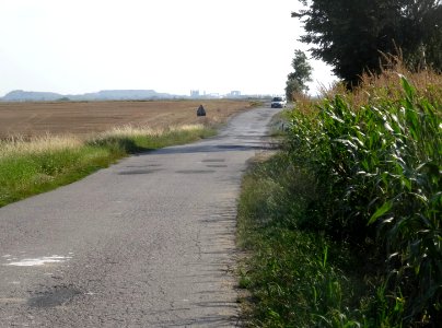 Inowroclaw plain near Mamlicz6