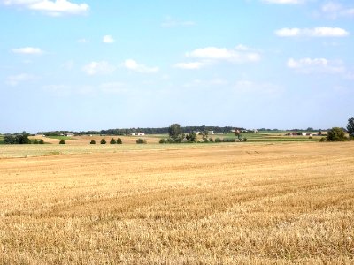 Inowroclaw plain near Mamlicz9