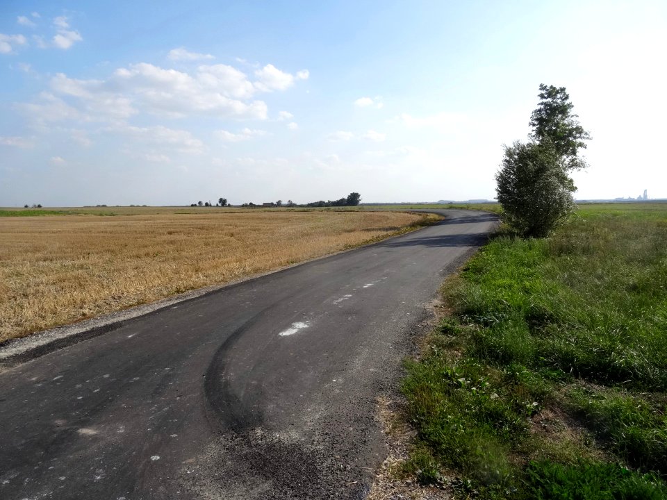 Inowroclaw plain near Mamlicz8