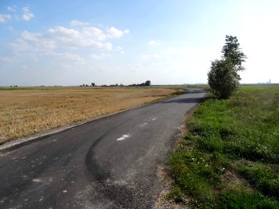 Inowroclaw plain near Mamlicz8
