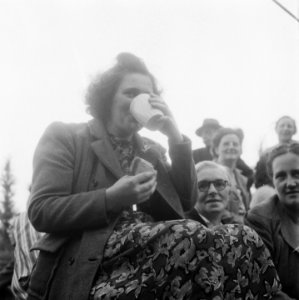 Inhuldiging koningin Juliana Koninklijk gezin weer thuis op paleis Soestdijk D, Bestanddeelnr 900-0256
