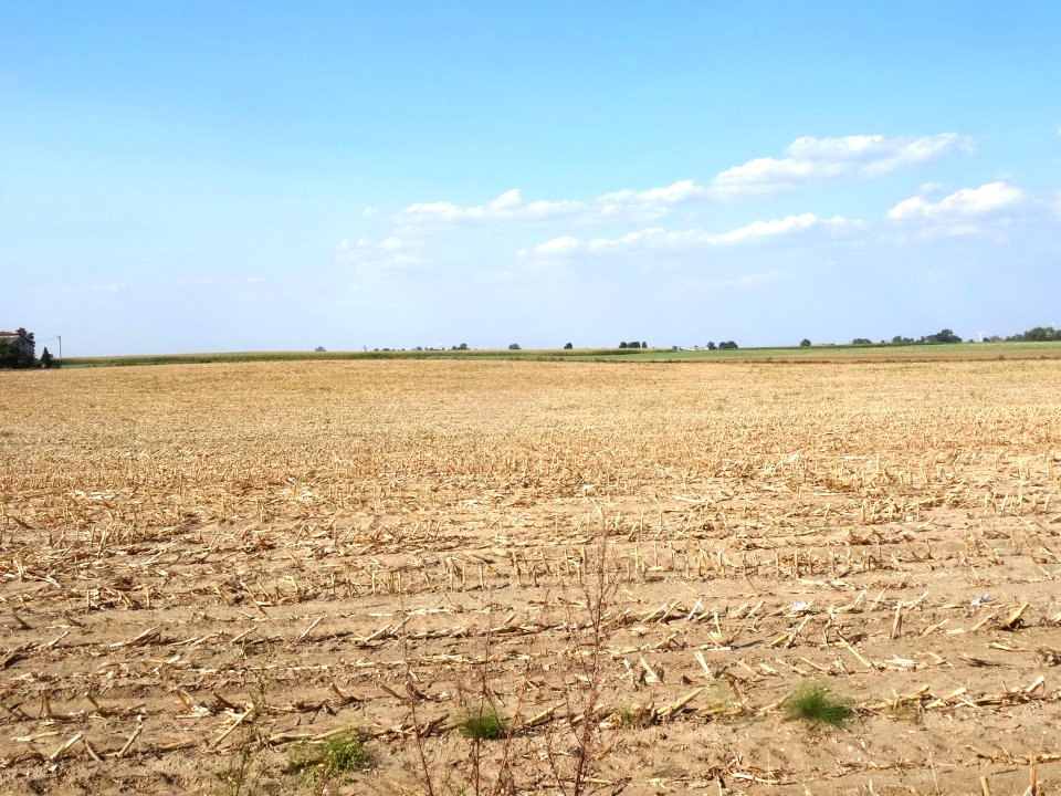 Inowroclaw plain near Mamlicz2