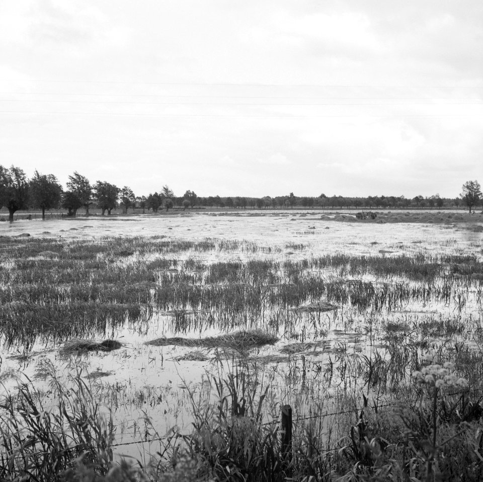 Inpoldering en bemaling, waterschappen, ondergelopen land, Nieuwe Wetering, Bestanddeelnr 159-1061