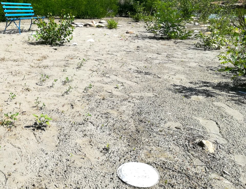 Inquinamento idrico Fiume Secchia a Casalgrande 1