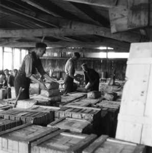 Inpakken van kisten met pakketten bloembollen, Bestanddeelnr 900-7695