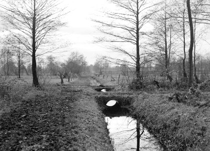 Inpoldering en bemaling, duikers, ruilverkavelingen, wetering oosteind, Bestanddeelnr 159-0876