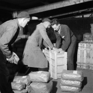 Inpakken van kisten met pakketten bloembollen, Bestanddeelnr 900-7693