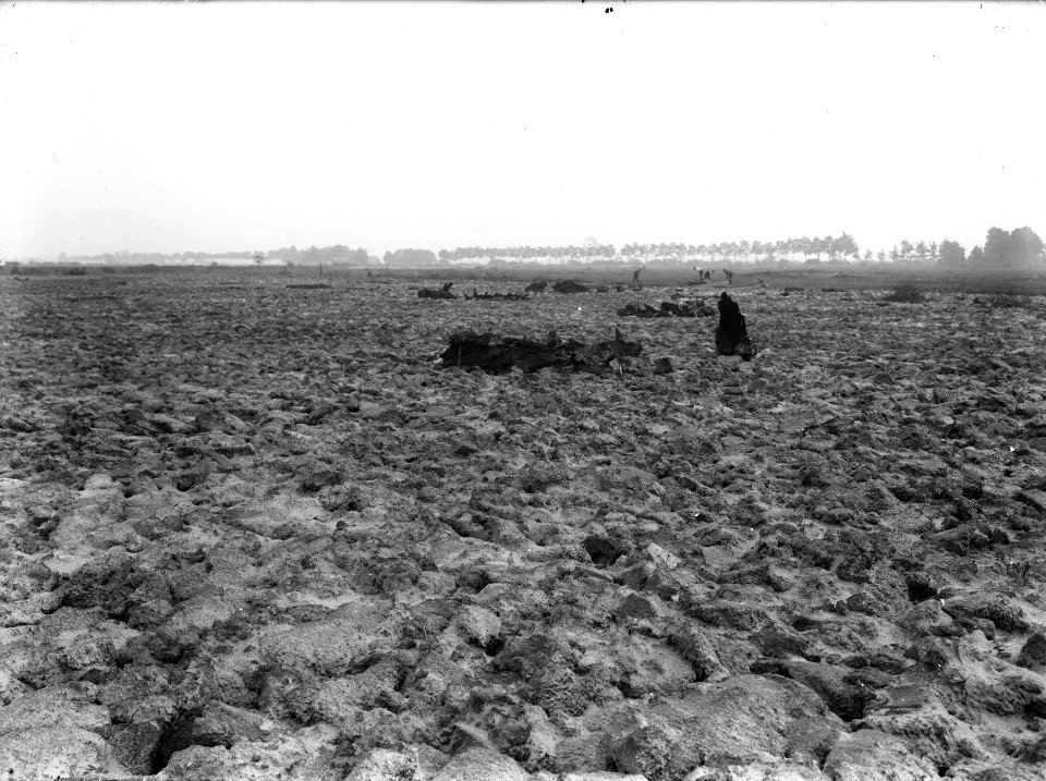 Inpoldering en bemaling, dalgrondontginning, arbeiders, polder de scheere, Bestanddeelnr 159-0823
