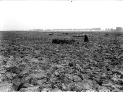 Inpoldering en bemaling, dalgrondontginning, arbeiders, polder de scheere, Bestanddeelnr 159-0823