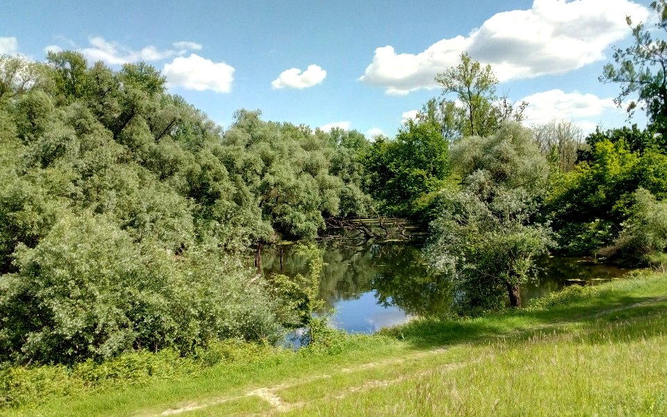 Innere Schwabenlach, Rheinaue Eggenstein