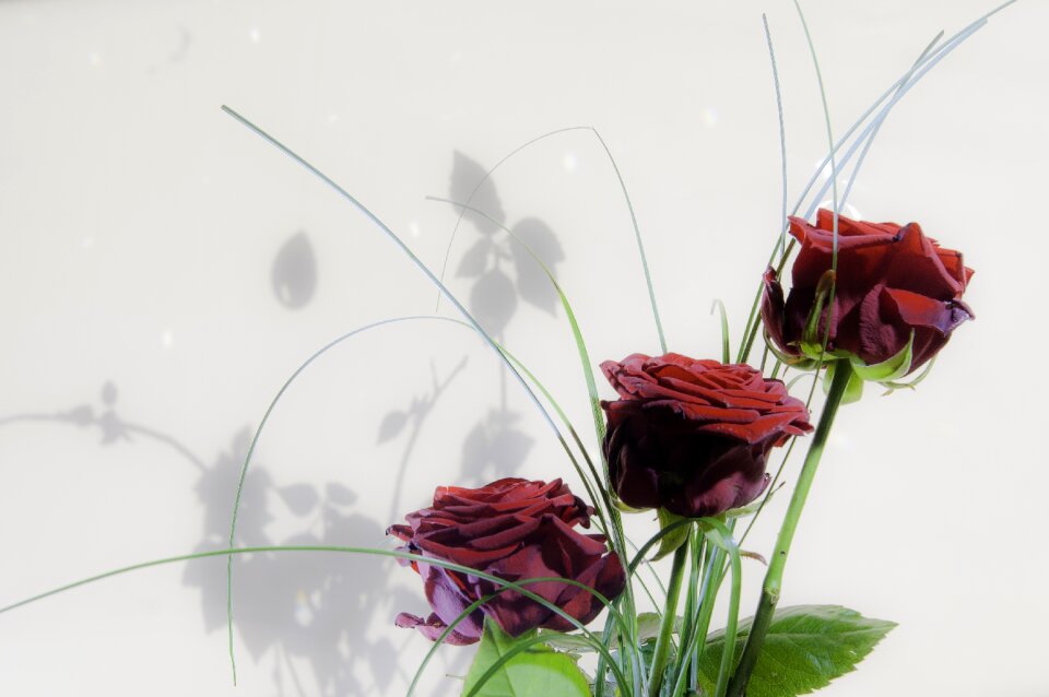 Love valentine's day mother's day