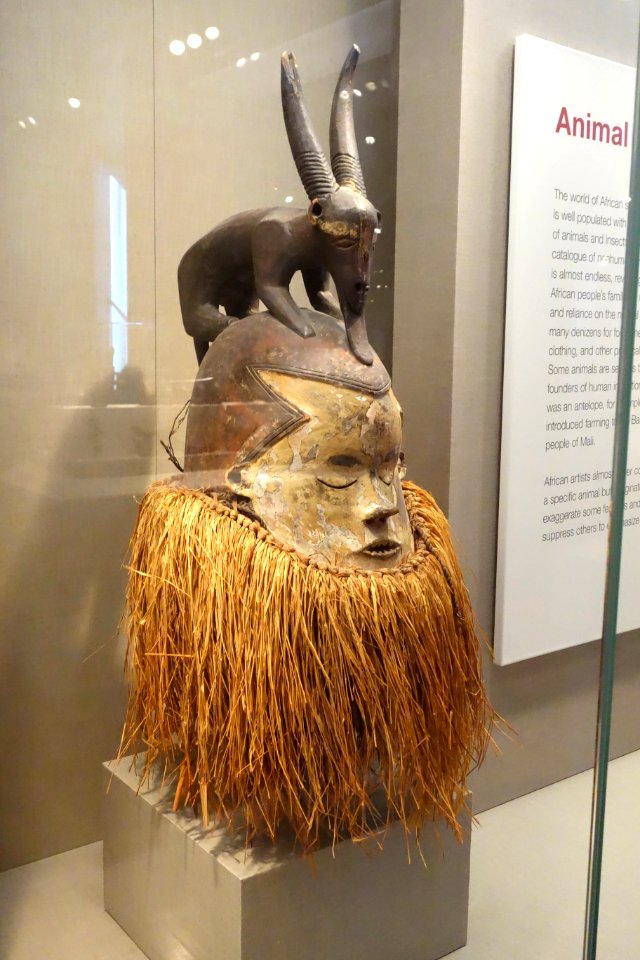 Initiation mask, Democratic Republic of Congo, Suku people, early 20th century, wood, pigment, raffia - De Young Museum - DSC01047