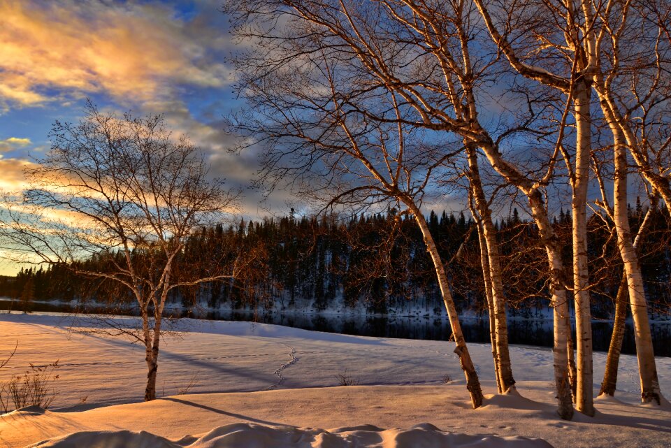 Frozen lake nature twilight photo