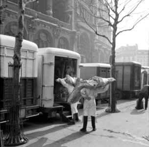 Inladen van vlees voor transport, Bestanddeelnr 254-0405