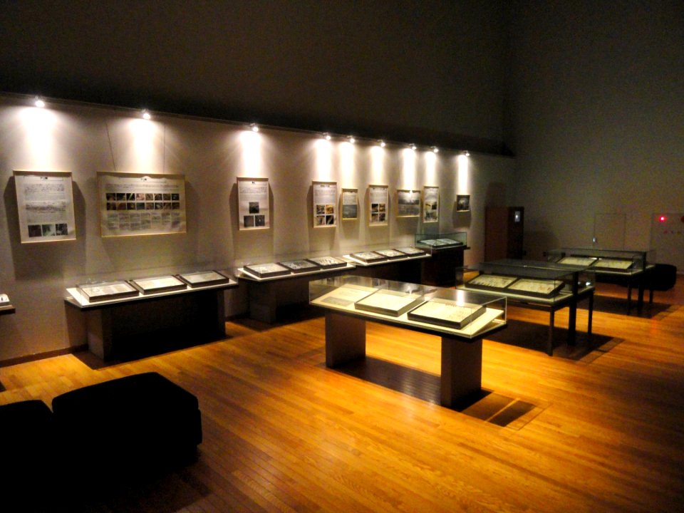 Insects - Kyoto University Museum - DSC06475