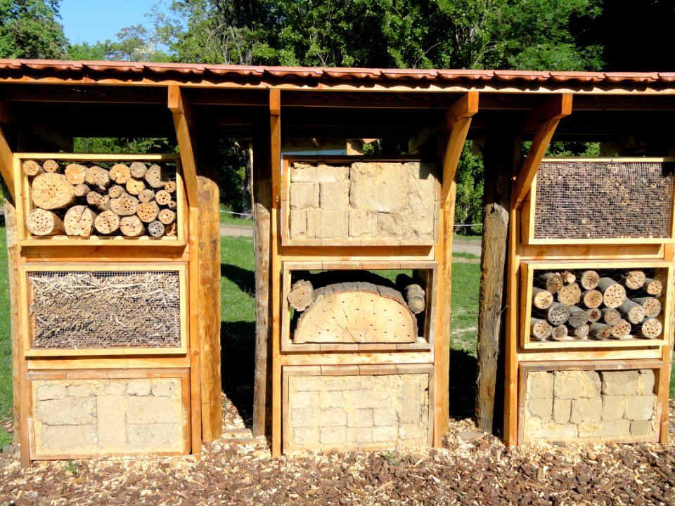 Insect hotel - Parc de la Tête d'Or - DSC05221