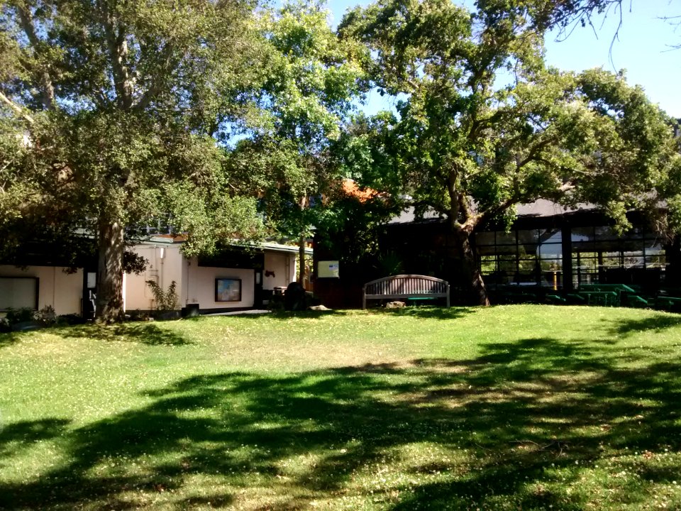 Inside Marin Country Day School