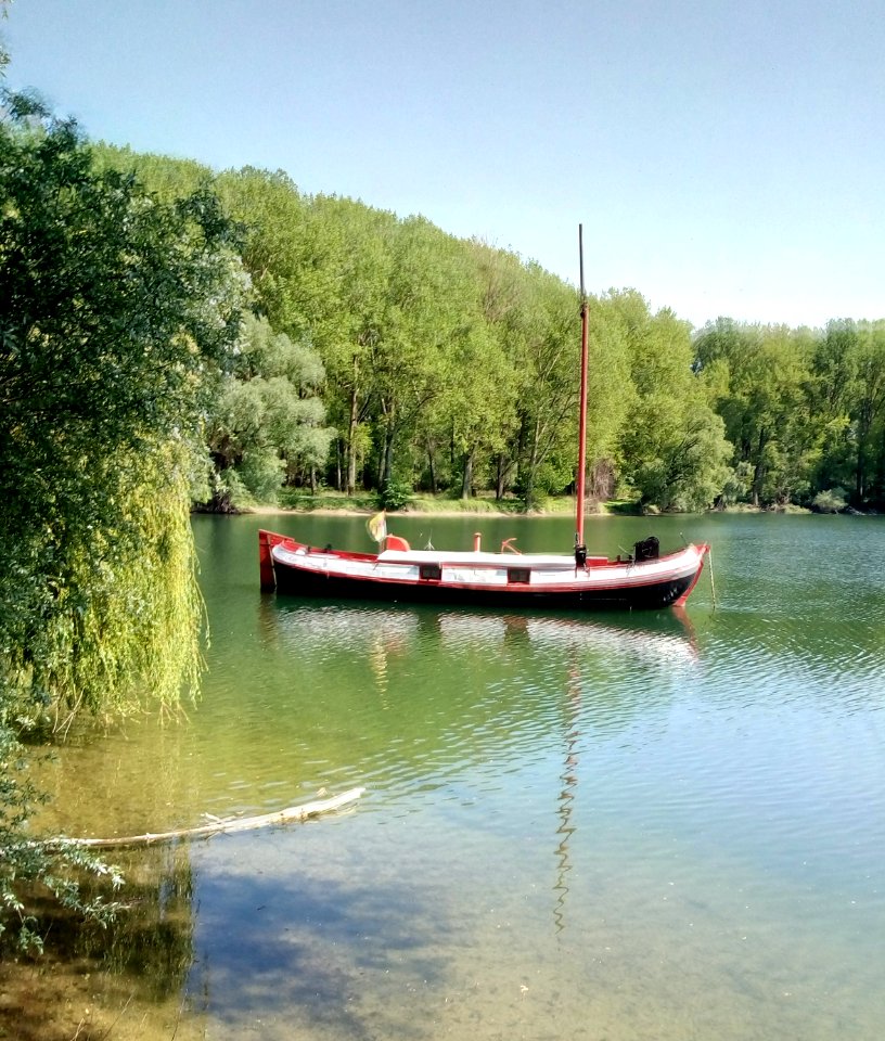 Insel Rott, Baggersee, Schiff (3)