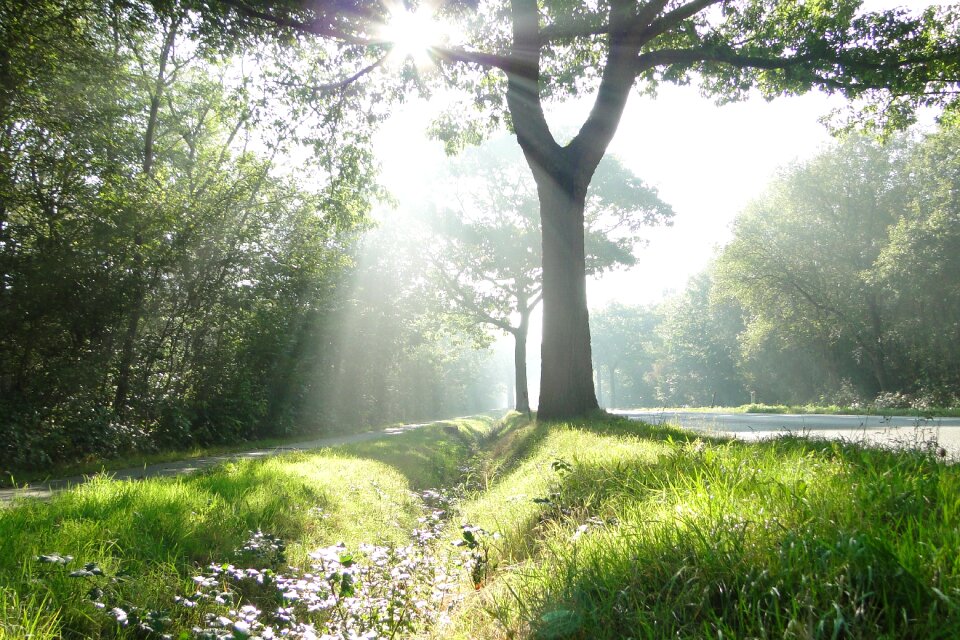 Morning heavenly beauty