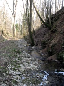 In der Steinbachklinge, Blick talab nach E