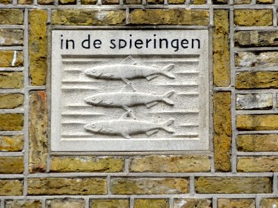 In de Spieringen