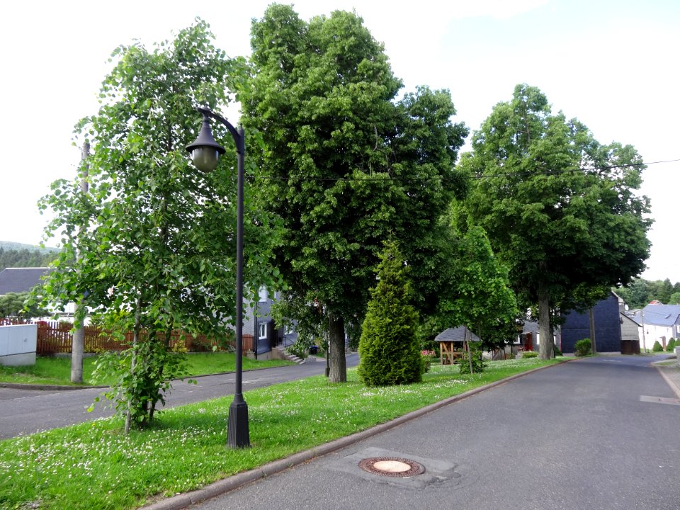 In Friedersdorf, Thüringen