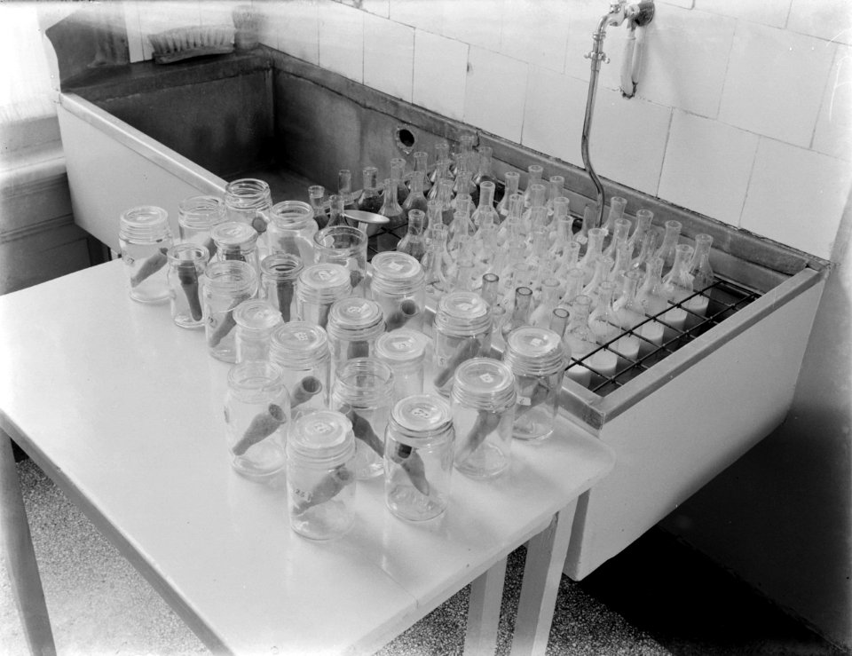 In de spoelkeuken van het kindertehuis, potten, flessen spenen en trechters staa, Bestanddeelnr 252-0384
