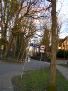 In der Schlucht
