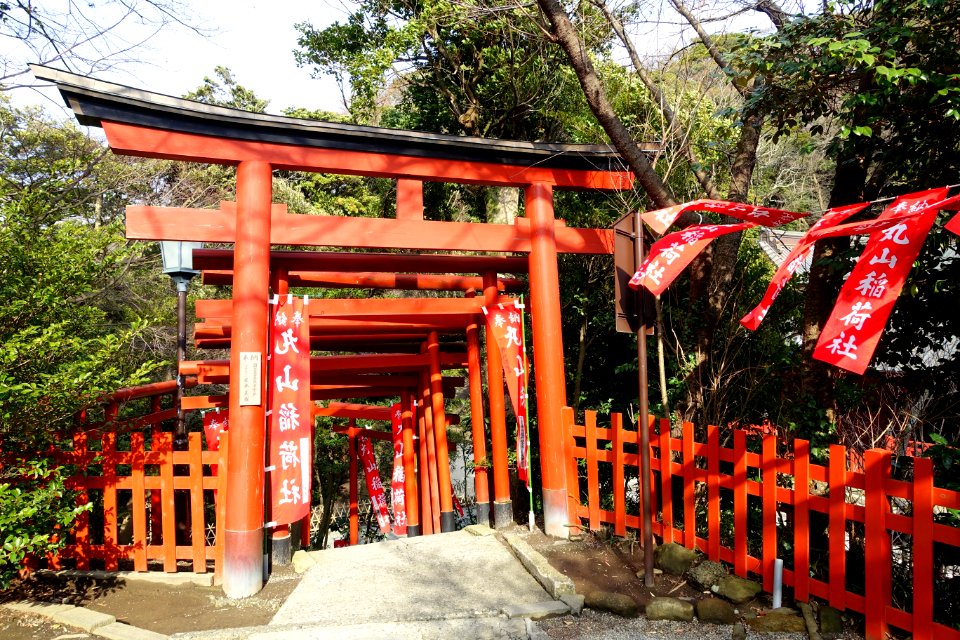 Inari shrine torii - Tsurugaoka Hachiman-gū - Kamakura, Kanagawa, Japan - DSC08343