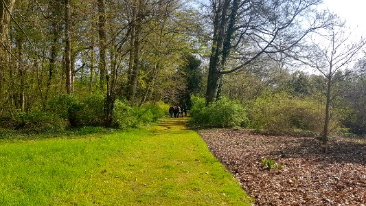 INaturalist meets Wiki, 16 April 2019 (1)