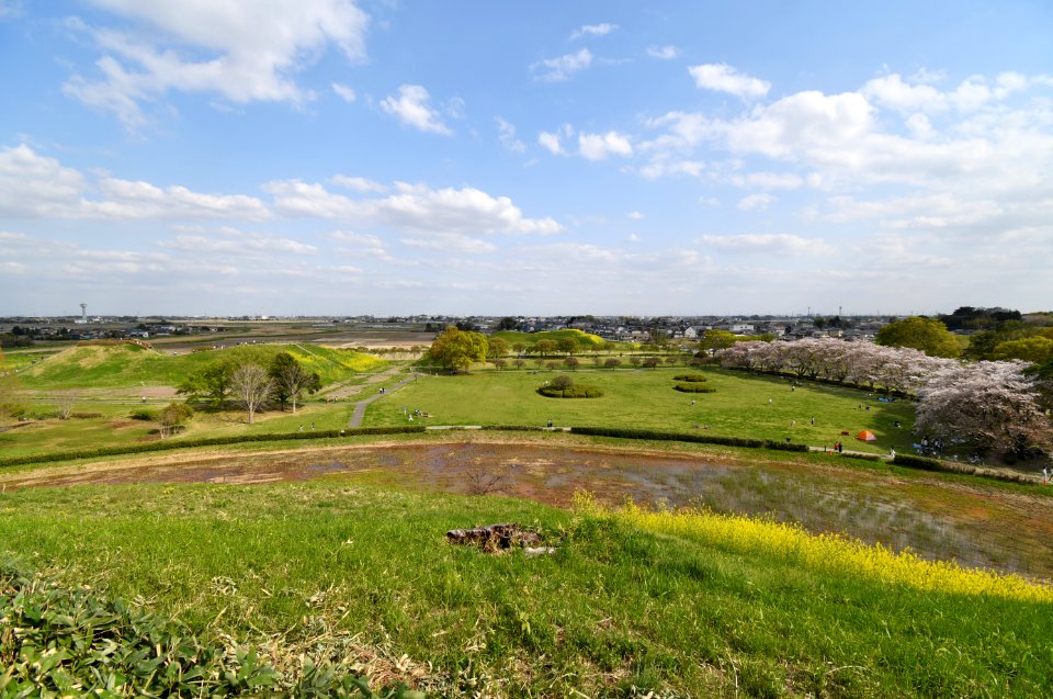 Inariyama Kofun and Shogun-yama Kofun (Gyoda)-2