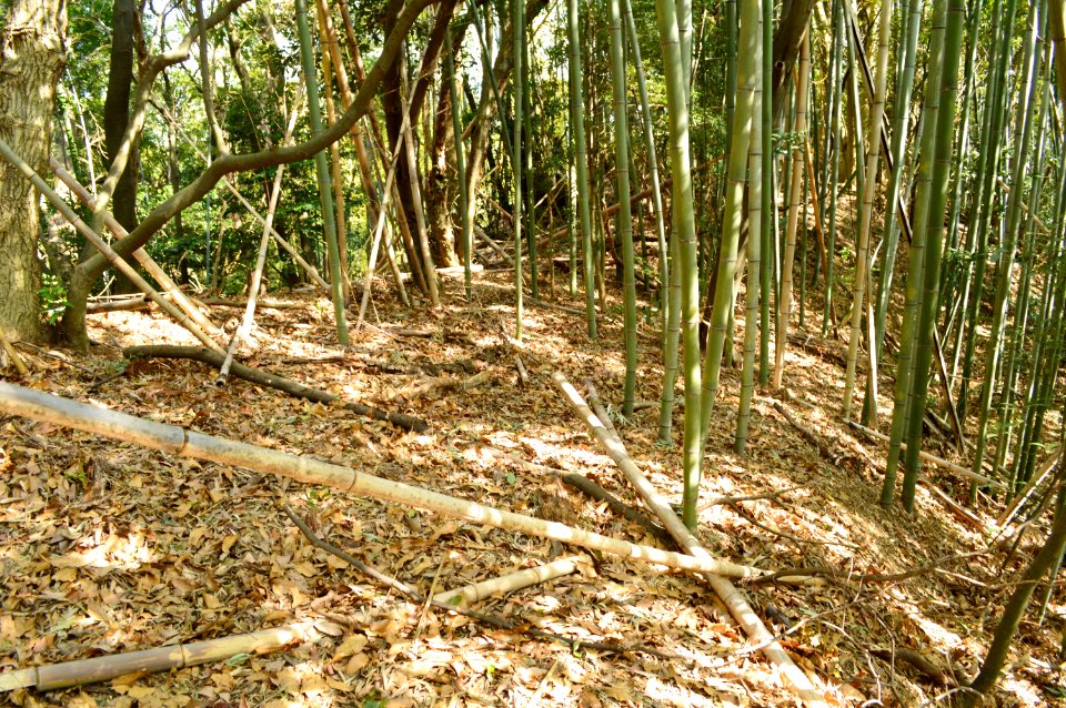 Inbe Hachiman-yama Kofun, funkyu-2