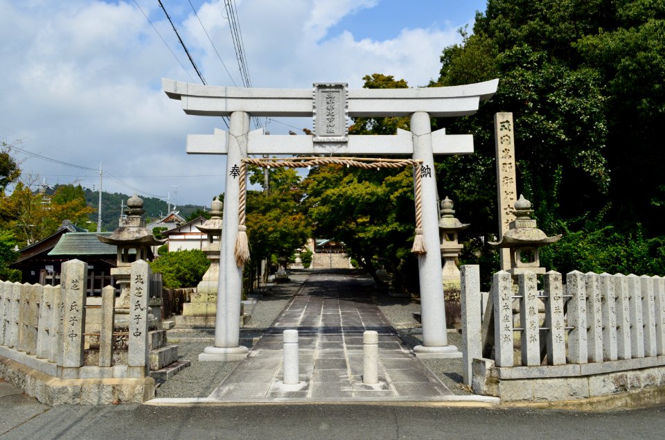 Inatsuhiko-jinja, torii-2