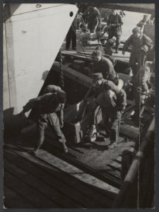 In Den Helder worden de ontwapende Duitse soldaten in LCT boten ingescheept voor, Bestanddeelnr 29052 091
