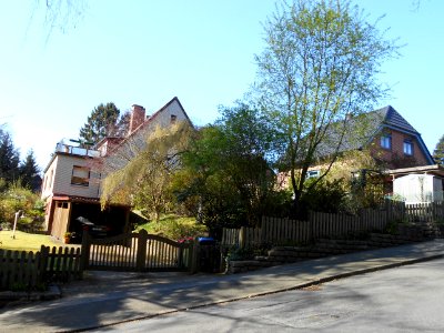 In der alten Forst