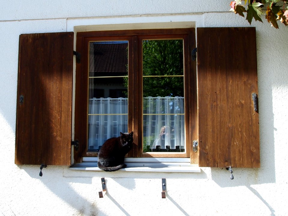 In Rosshaupten mit Fensterkatze