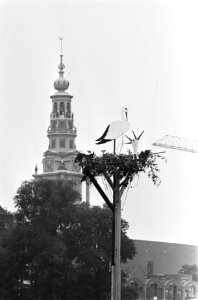 In bouwput Stopera op Waterlooplein te Amsterdam, ooievaar, Bestanddeelnr 932-2204