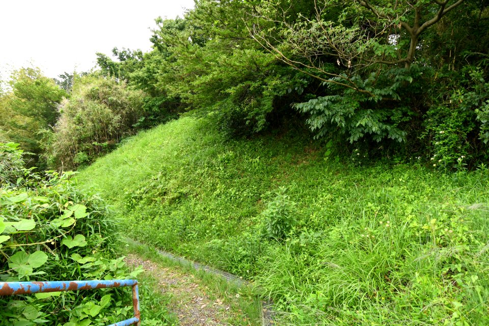 Inarimae Kofun Group-17, funkyu