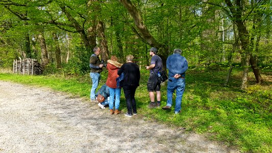 INaturalist meets Wiki, 16 April 2019 (2)