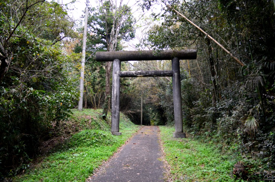 Inamura-jinja (Hitachiota) ichinotorii