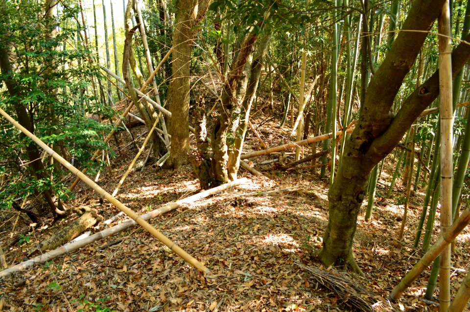 Inbe Hachiman-yama Kofun, kouenbu