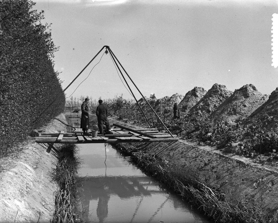 In de Anna Jacobapolder bij St. Philipsland heeft fruitkweker C. Wissen een grac, Bestanddeelnr 905-7068