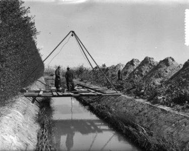 In de Anna Jacobapolder bij St. Philipsland heeft fruitkweker C. Wissen een grac, Bestanddeelnr 905-7068